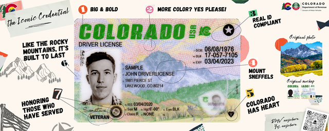 How Long Do Id Cards Last