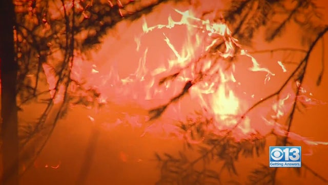 fire.jpeg 
