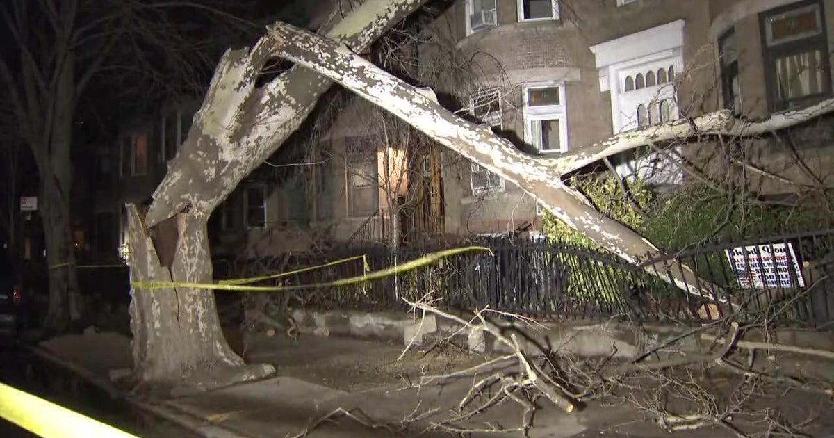 Fast-moving storms cause damage in parts of the Tri-State Area - CBS ...