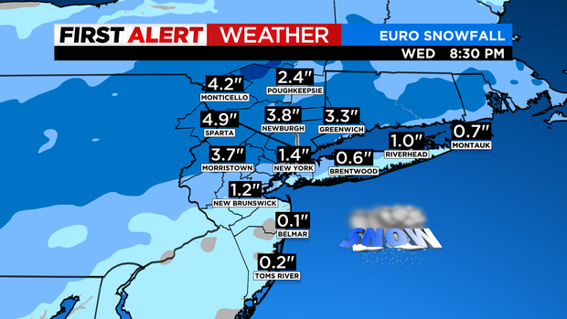 skycast-futurecast-snowfall-euro.png 