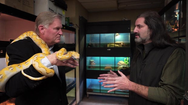 Peter Van Sant and Dāv Kaufman