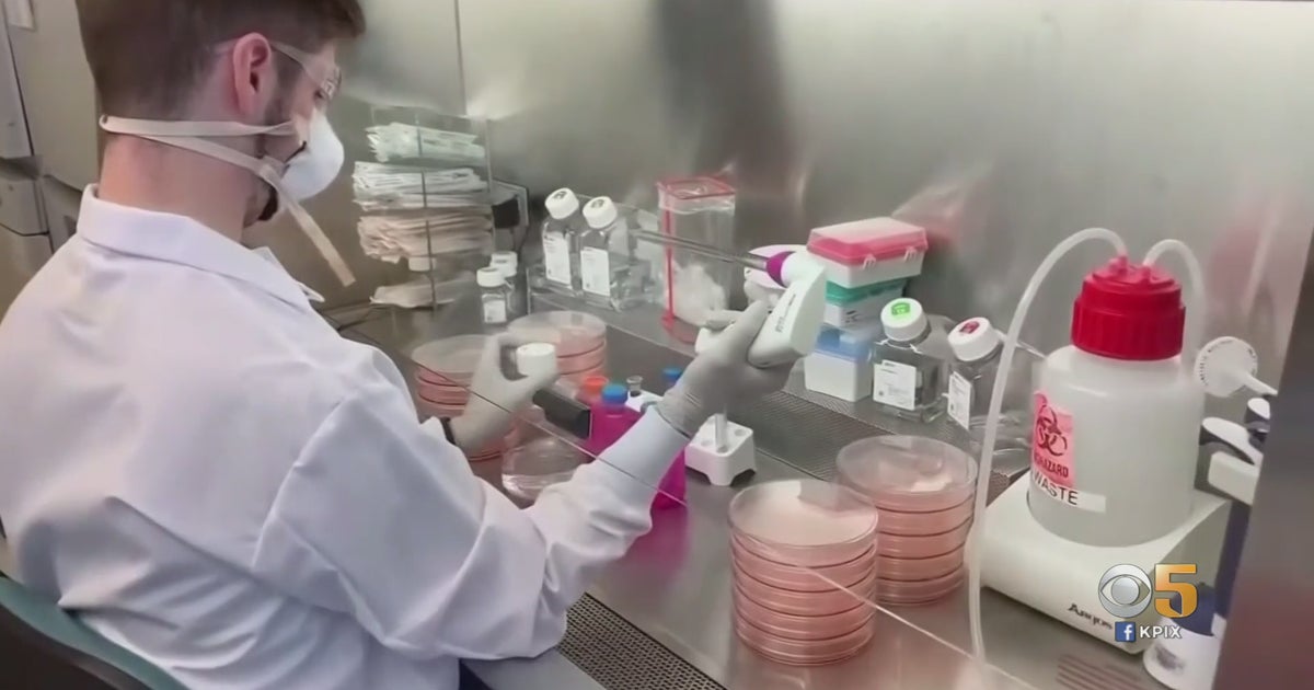 COVID: Higher Levels Of Coronavirus In Wastewater Could Presage Surge ...