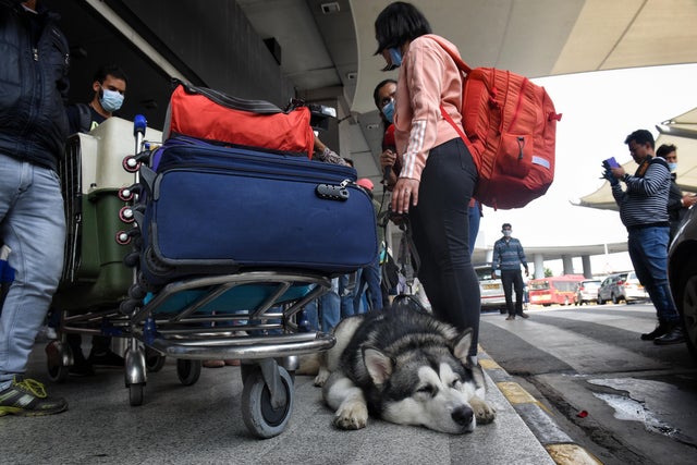 Russia-Ukraine Conflict: Students Evacuated By Indian Government From Ukraine 