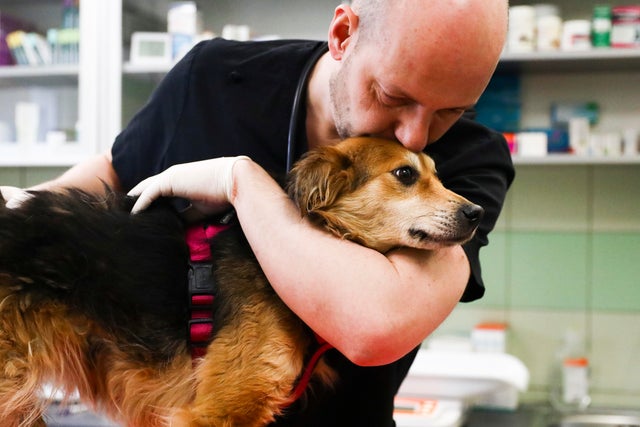 Polish Vets Save Ukrainian Animals 