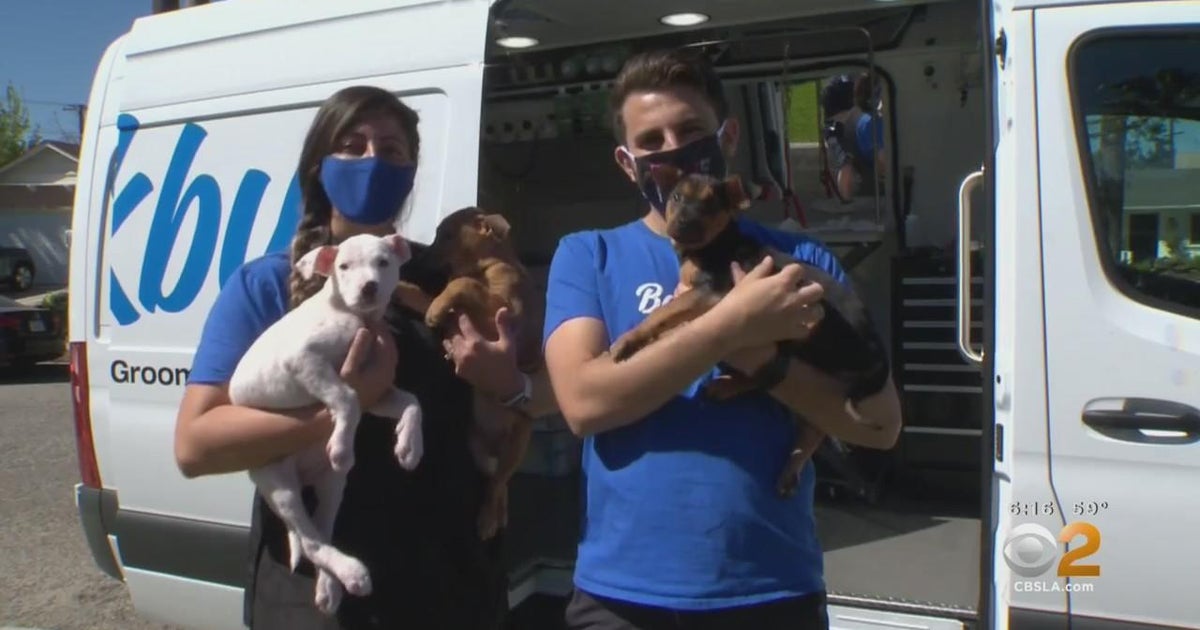 People Making A Difference: Mobile Groomer, Local Rescue Team Up To Get ...