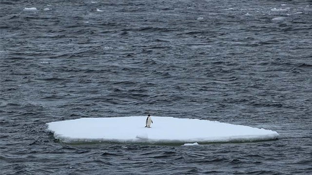 antarctic-ice.jpg 