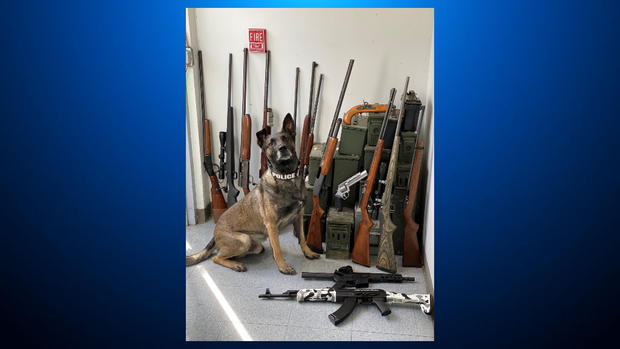 Napa guns seized 