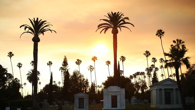 Cinespia Presents Summer Screening Of "Mean Girls" At Hollywood Forever Cemetery 