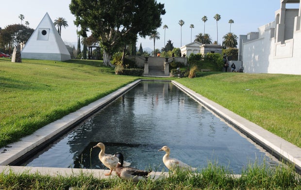 Premiere Of Cinemax's "Outcast" - Arrivals