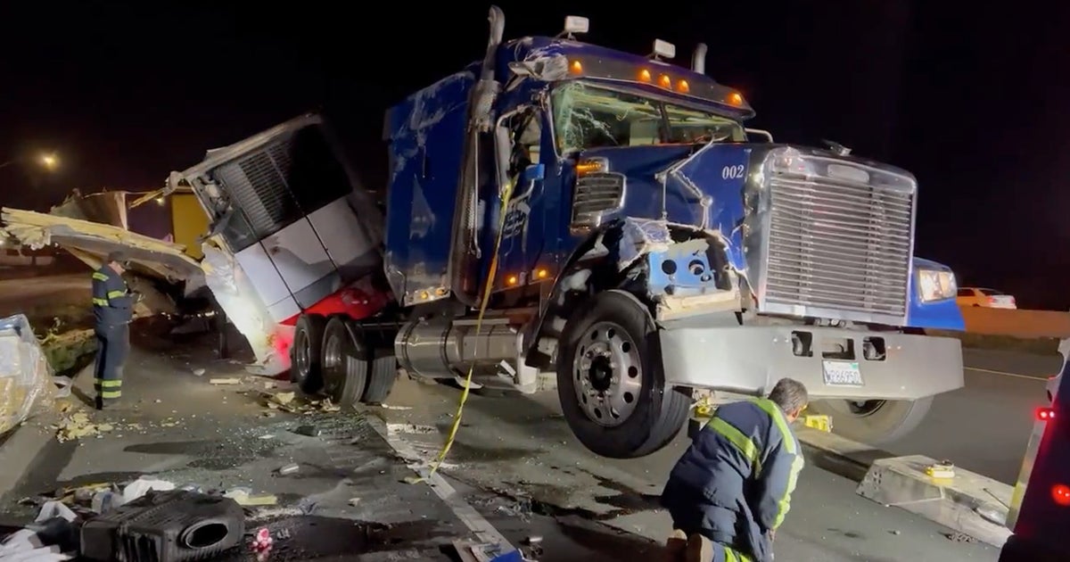 Big Rig Hits, Kills Horse That Got Loose On I-5 Near French Camp - CBS ...