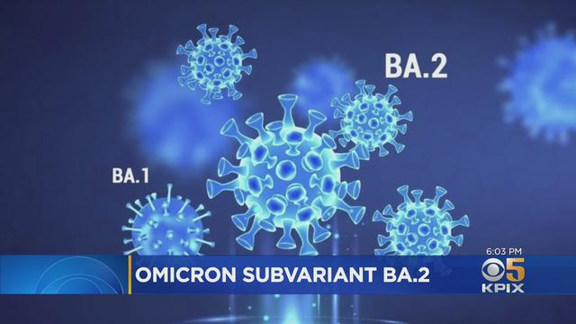 BA2-Omicron-variant.jpg 