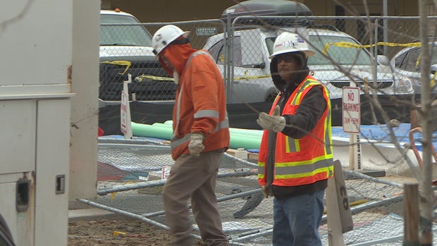 HABITAT GIFT 5PKG.transfer_frame_2552