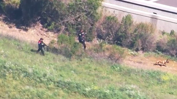 Pleasanton police activity 