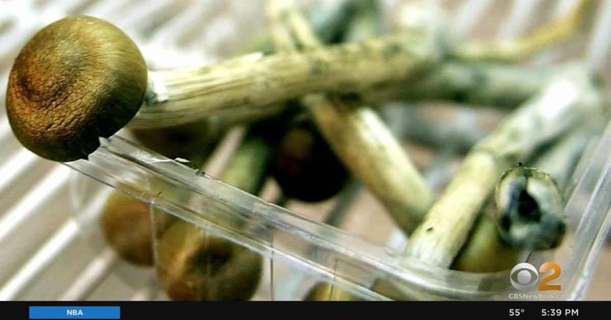 New research shows potential benefits of properties in magic mushrooms