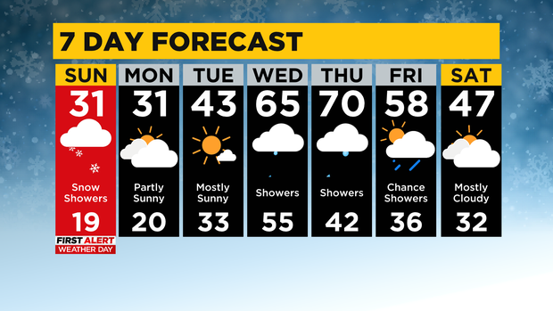 7 Day Forecast 