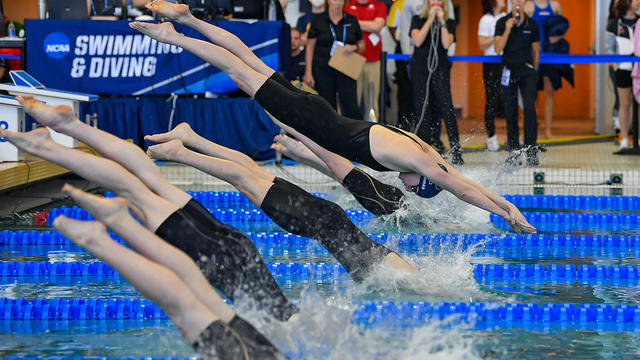 NCAA SWIMMING: MAR 19 Women's Swimming & Diving Championships 