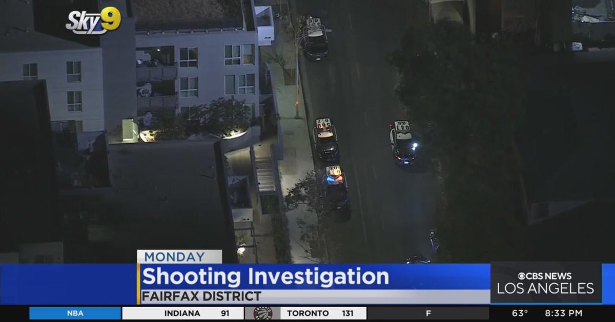 Authorities arrest man who shot at witnesses to him beating a dog in ...
