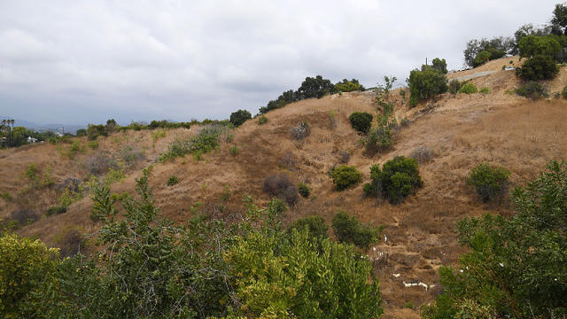 california-dry-hillside-getty-images.jpg 