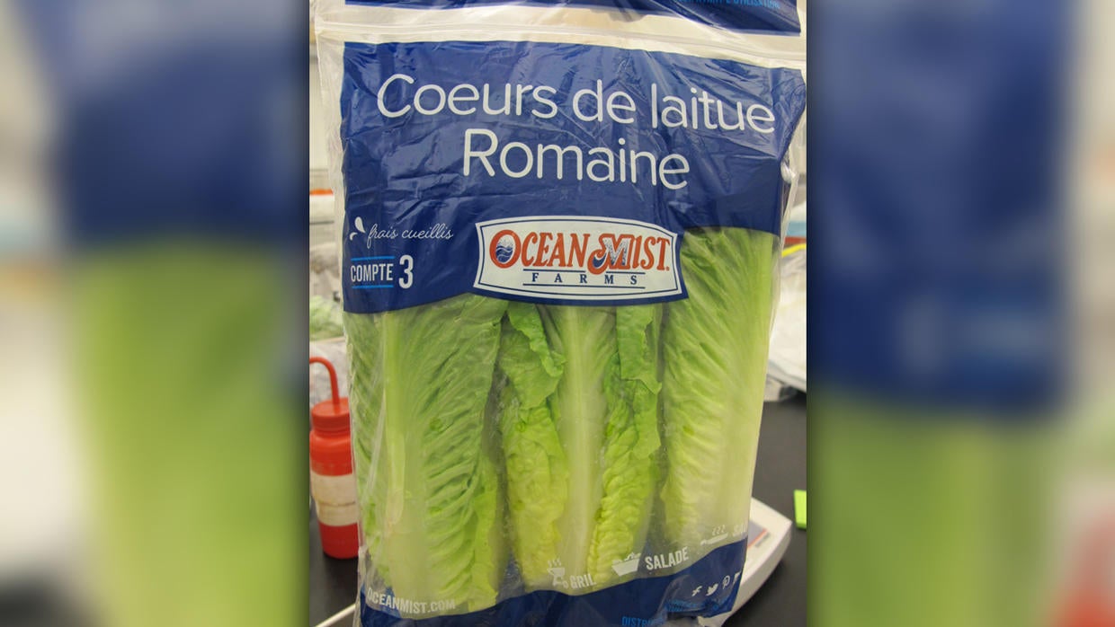 Romaine Lettuce Brand Recalled Due To Possible Parasite Contamination