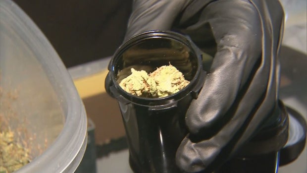 MARIJUANA EQUITY 10 PKG.transfer_frame_908 