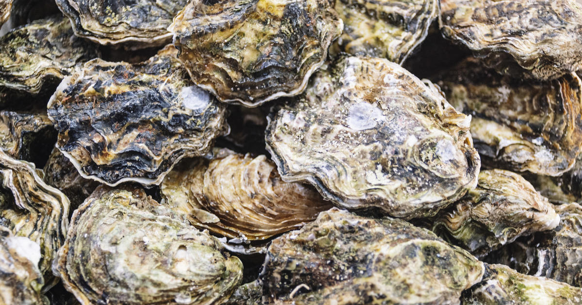 Health officials in California issue warning about norovirus in raw oysters imported from Korea