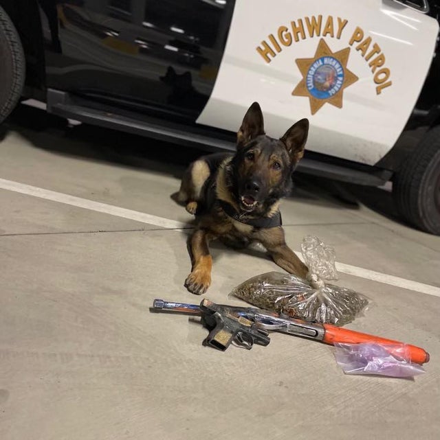 chp valley drug bust 