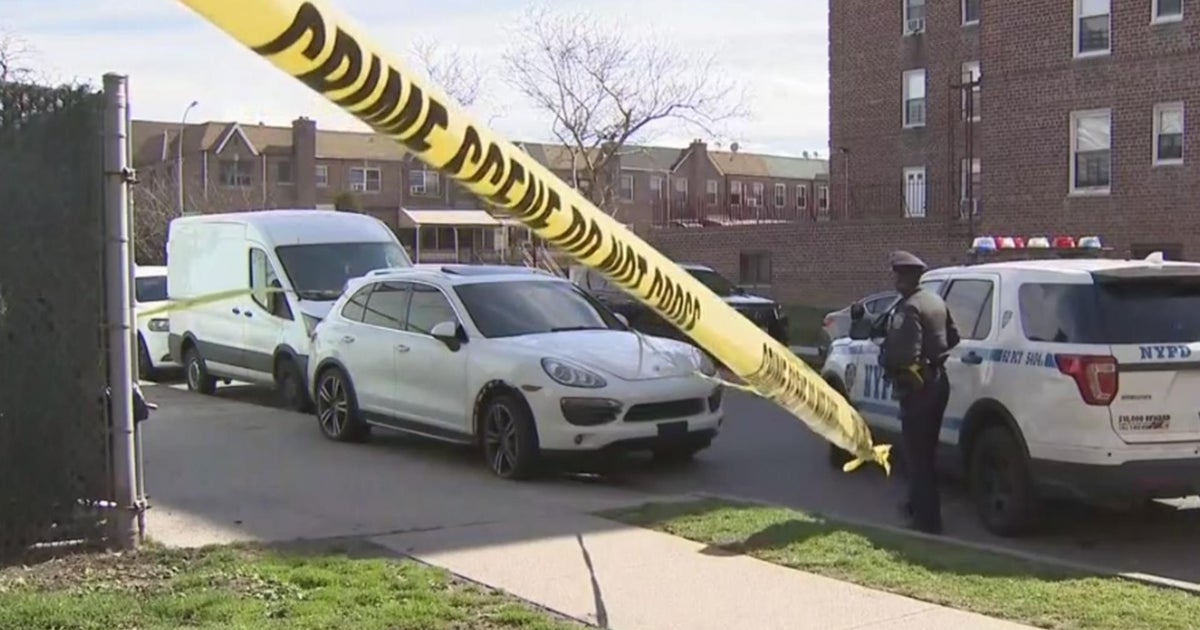 NYPD Officers open fire on vehicle on Belt Parkway after driver speeds