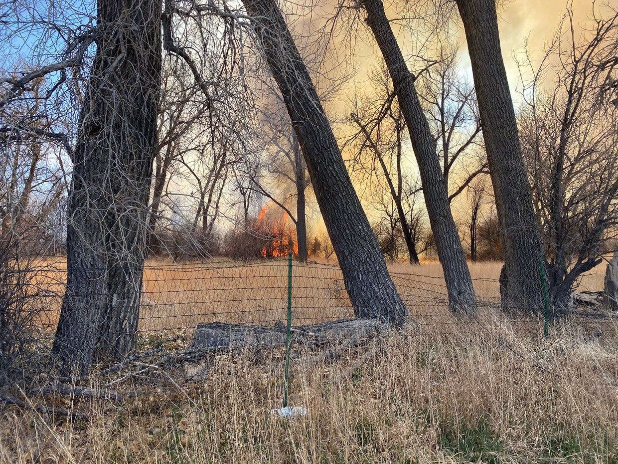 Pueblo Wildfire Burning Near PAWS For Life Animal Shelter CBS Colorado