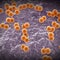CDC: 7 deaths reported amid meningitis outbreak in Florida