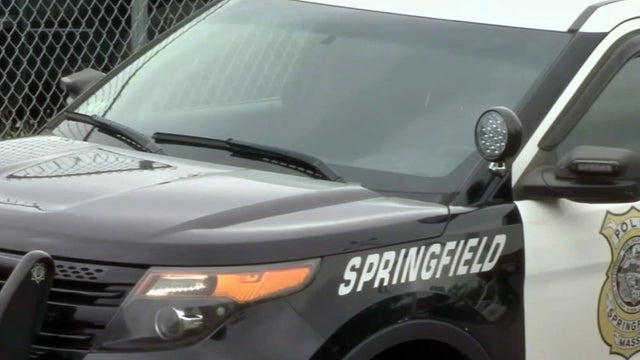 SpringfieldPoliceCar.jpg 