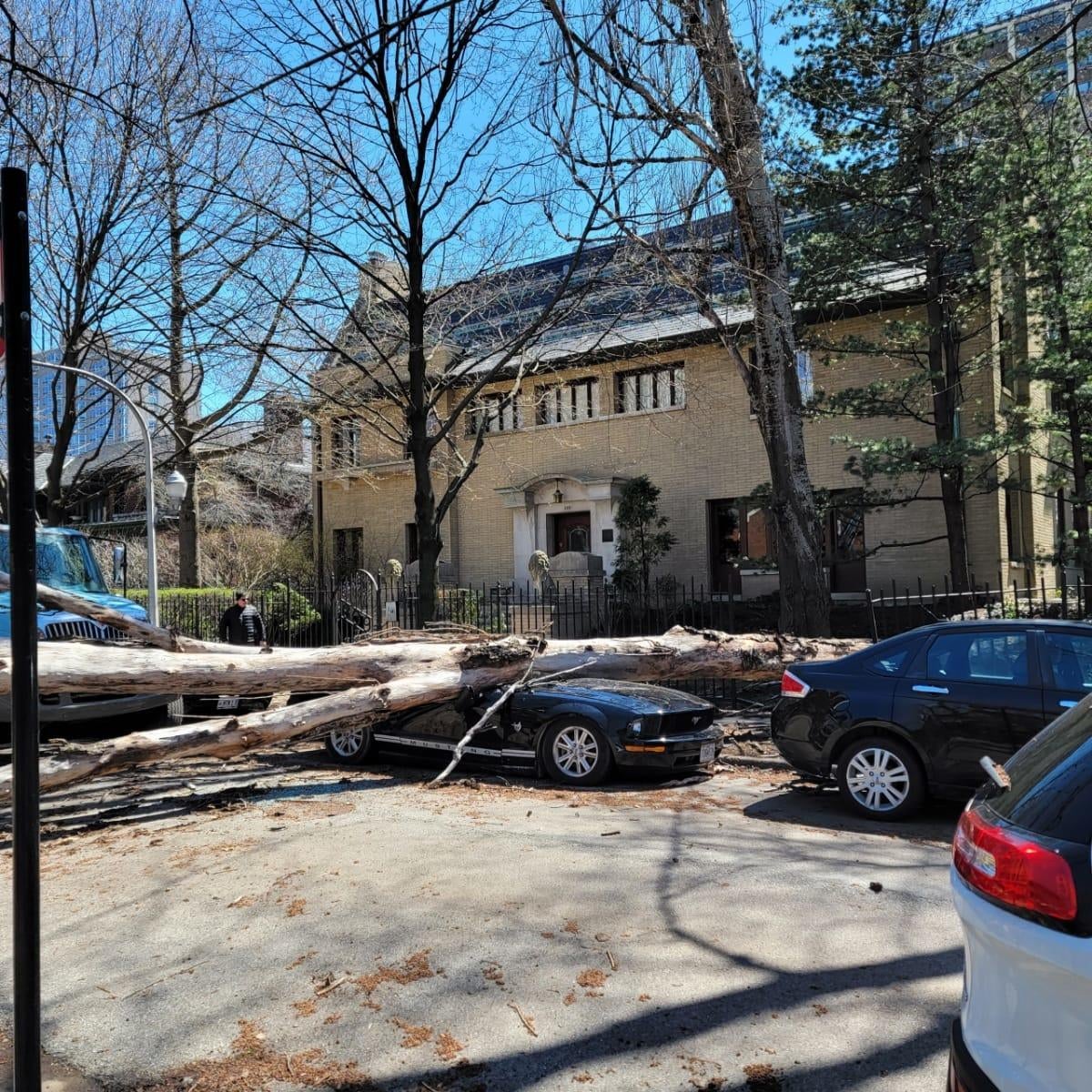 Strong winds blast through Chicago area, knocking down trees, power ...