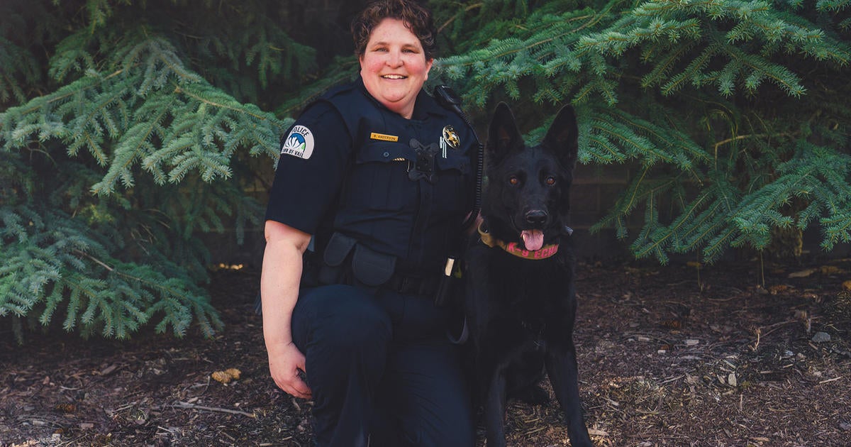 vail-police-brings-back-k9-officer-program-cbs-colorado