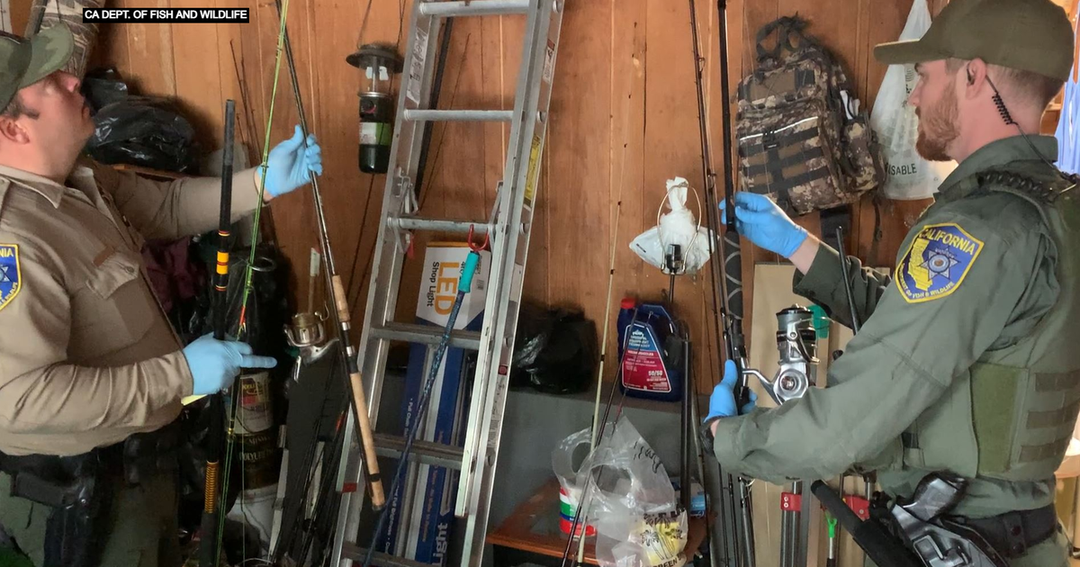 9 Arrests Made After Investigation Into Sacramento River Sturgeon