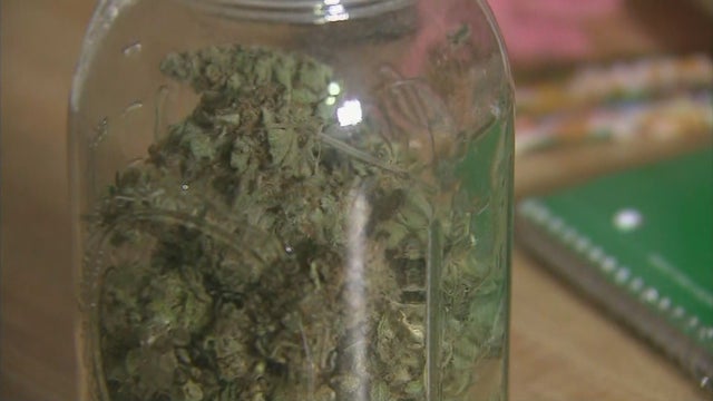 16VO_BG_CANNABIS-CURRICULUM_frame_485.jpg 