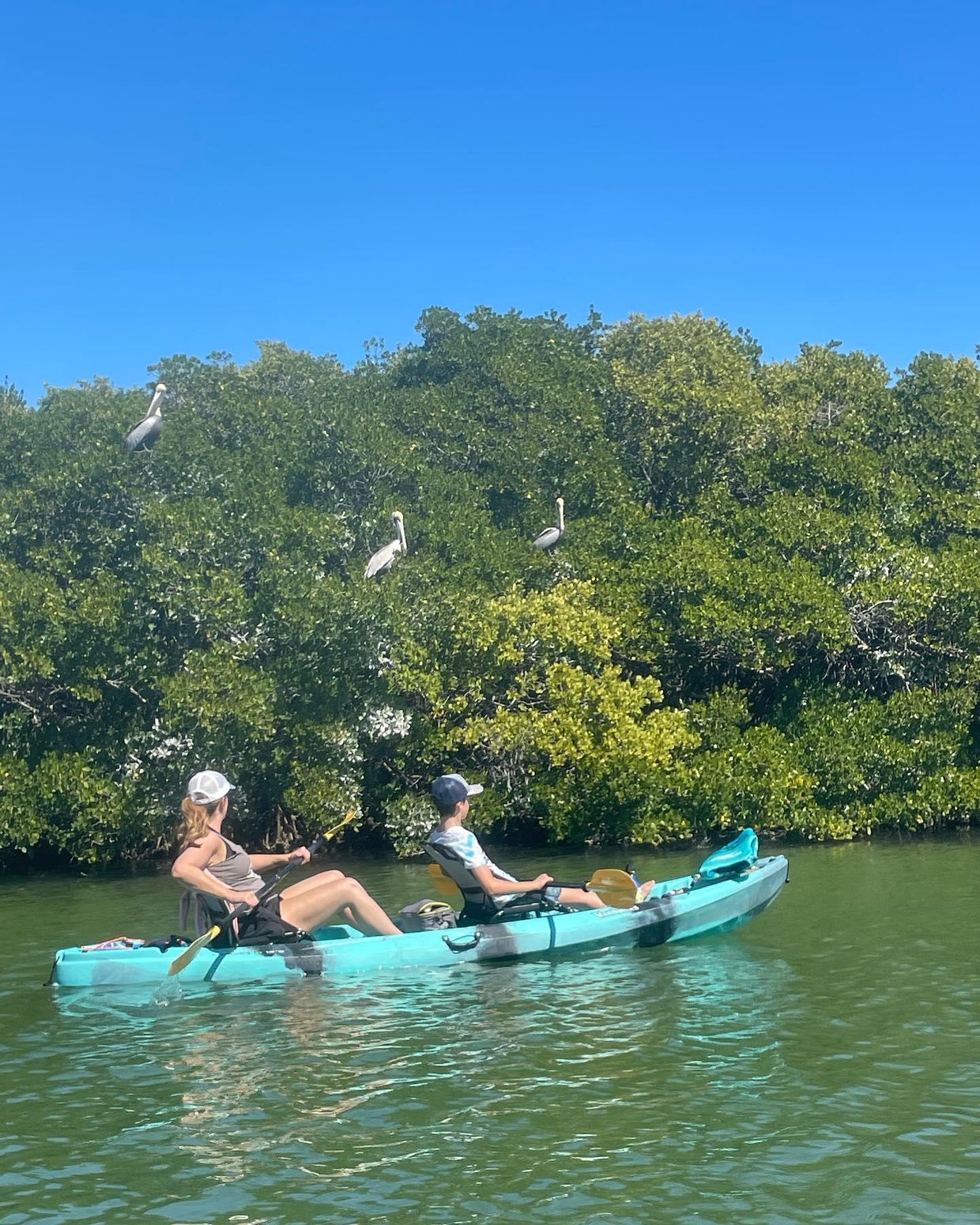 fisch-kayaking.jpg 