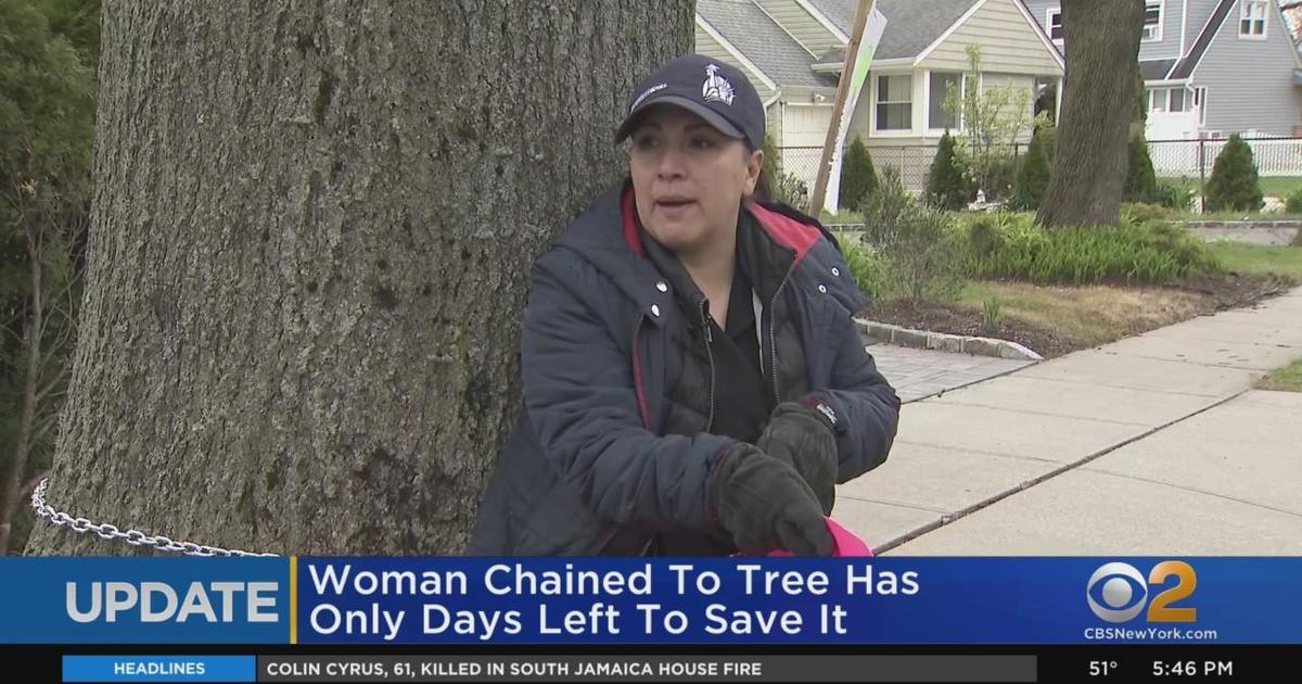 Update: Woman chained to tree has only days left to save it - CBS New York
