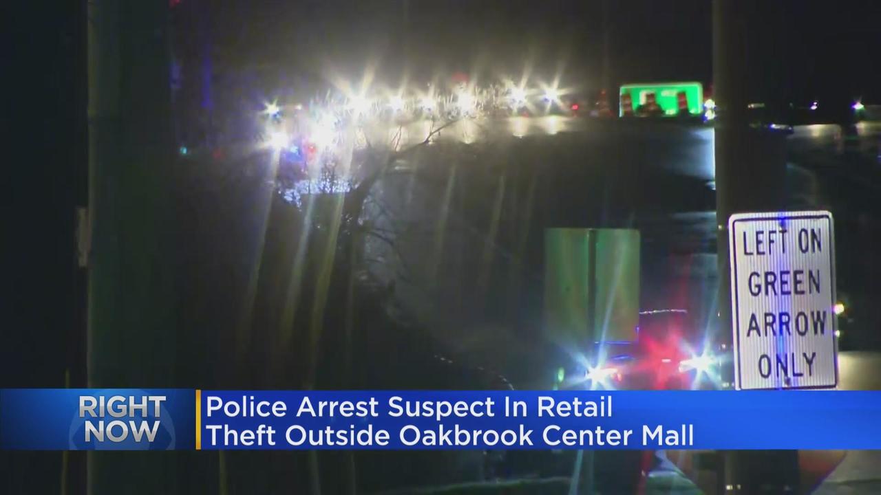 Oakbrook Center Mall Shooting: Security Details Shoots Jewelry Store Robber  In Thwarted Heist