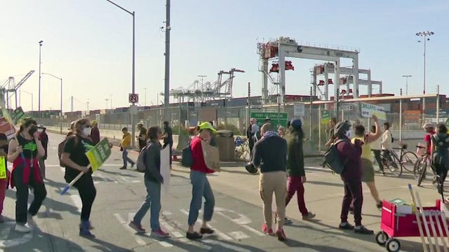 Striking Teachers Picket at Port of Oakland 