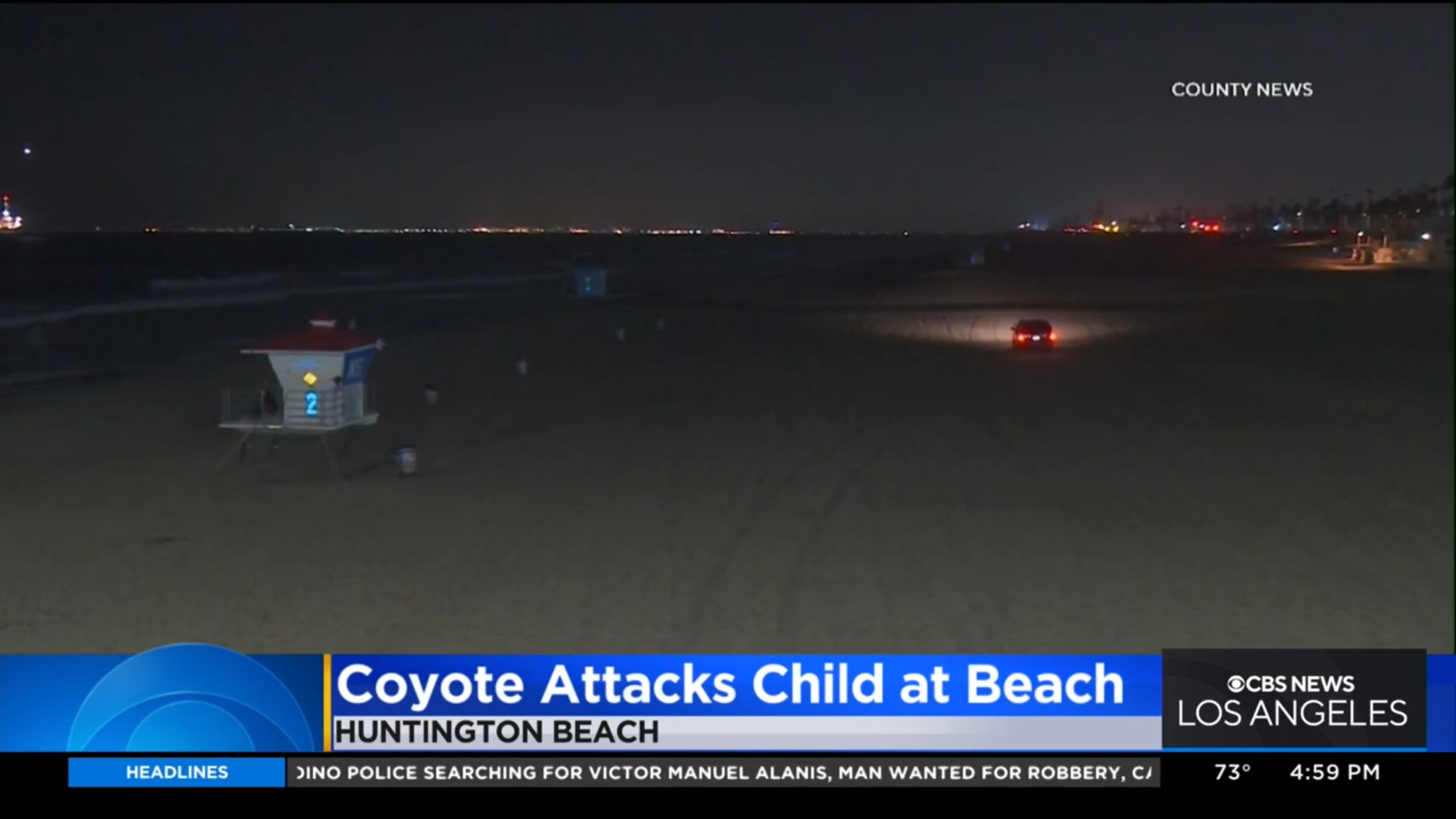 anvato-6232909-authorities-capture-coyote-that-attacked-girl-near-huntington-beach-pier-52-2522.png?v/u003d42bbcea0e3eaab3fb7d470f54c86b0bd pic