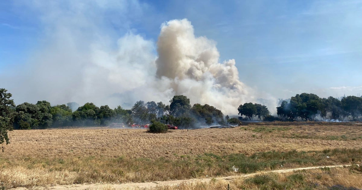 Crews Contain Vegetation Fire Near Modesto; 1 Burn Victim Transported