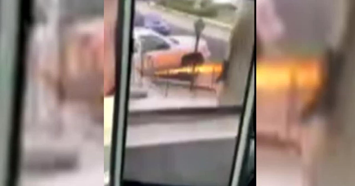 Police Man seen using flamethrower now in custody after standoff in