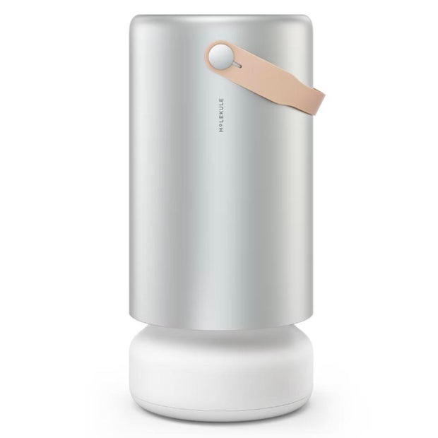 Molekule Air Pro