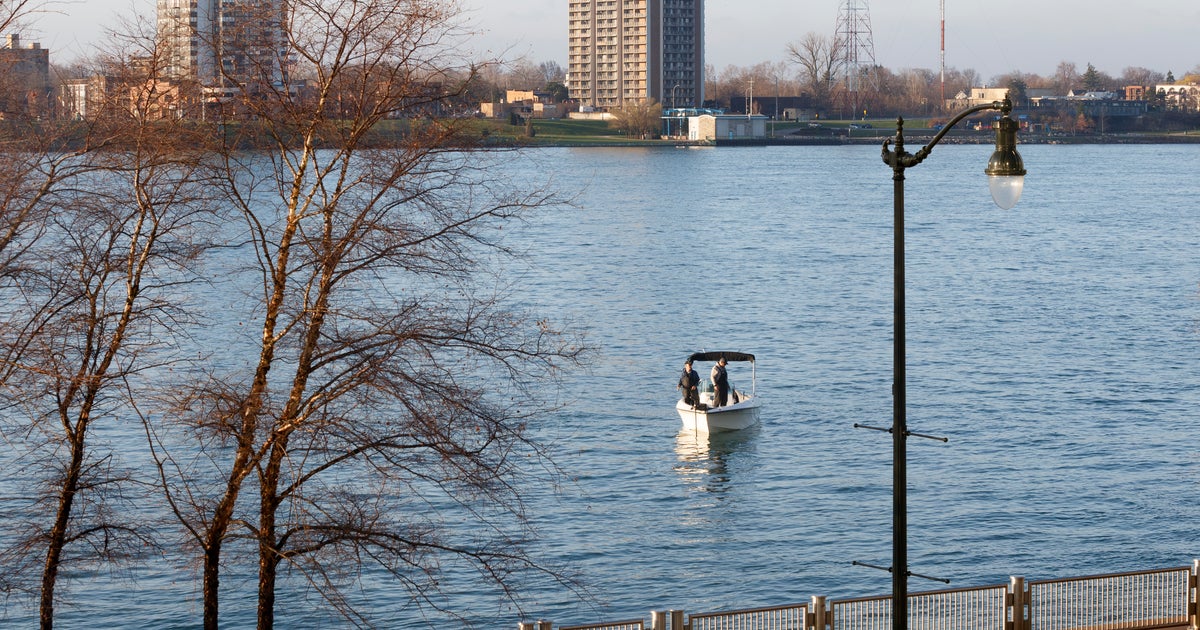 Otter Spotted In Detroit River For First Time In 100 Years - CBS Detroit