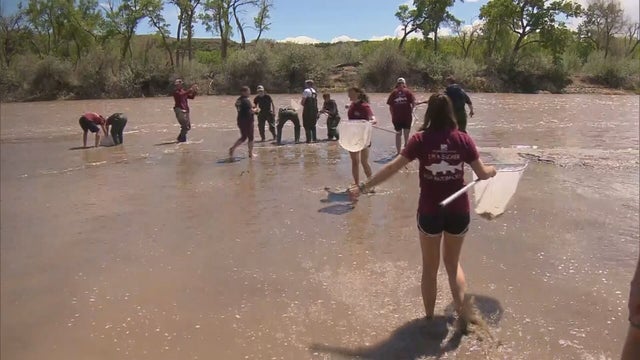 PALISADE FISH HATCHERY 63PKG.transfer_frame_2744