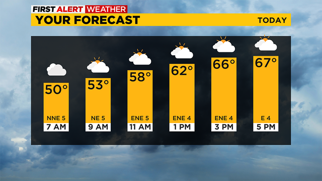 your-forecast.png 