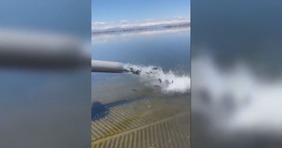 Barr Lake State Park Stocked With Rainbow Trout For Fishing Season