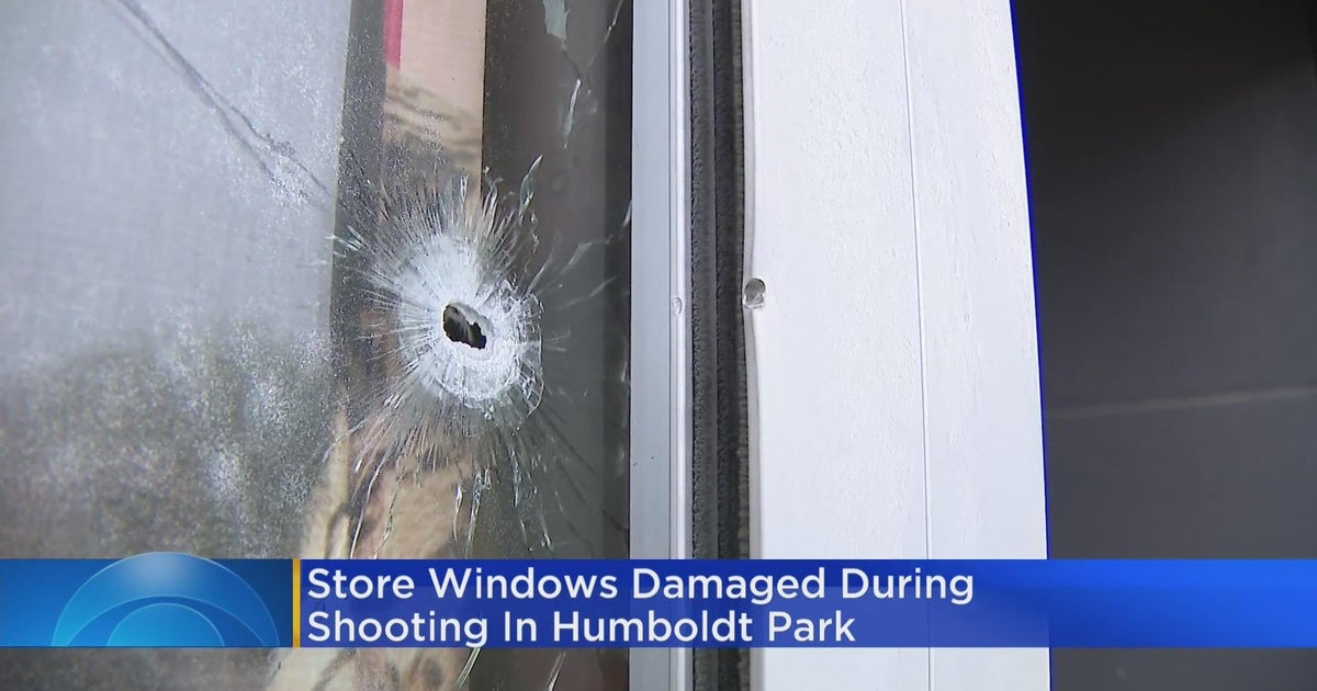 Store windows damaged during shooting in Humboldt Park CBS Chicago