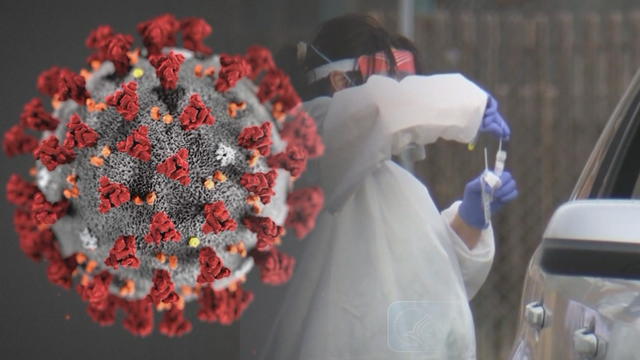 coronavirus.jpg 