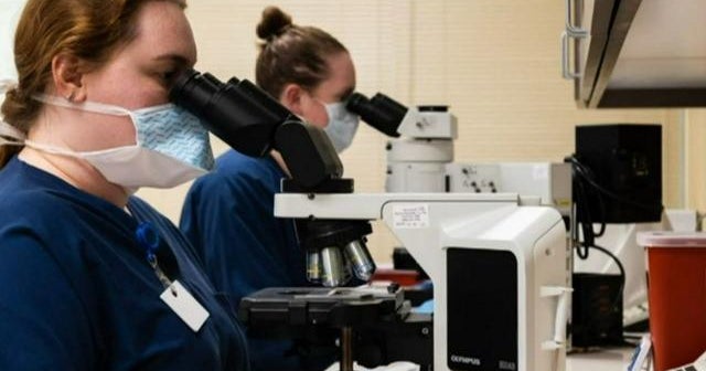 Concern that overturning Roe v. Wade could threaten IVF treatment access CBS News