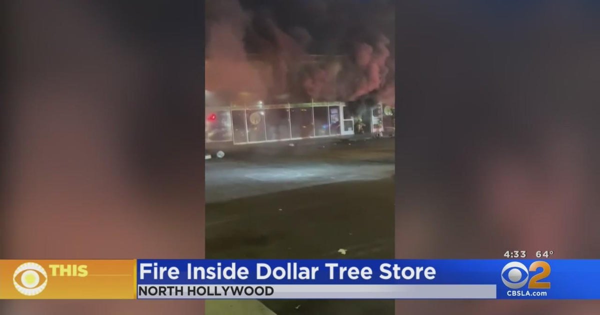 Blaze erupts in Dollar Tree store in North Hollywood with customers ...
